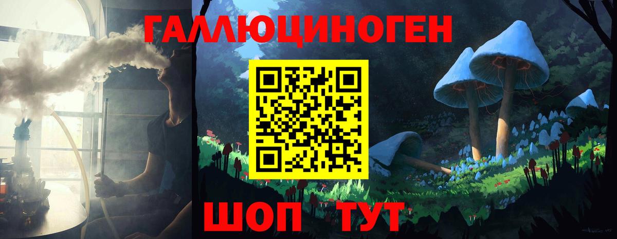Псилоцибиновые грибы Psilocybe Рославль